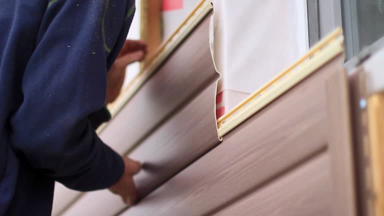 Trusted Naperville, IL Junk Removal Experts